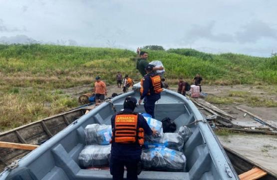 Incautados cerca de 500 kilogramos de marihuana tipo creepy