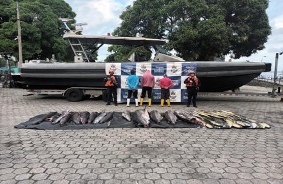 Incautados más de 700 kilogramos de pesca en el Pacífico colombiano