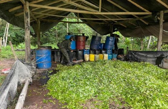 Ubicados y destruidos cinco laboratorios para el procesamiento de pasta base de coca