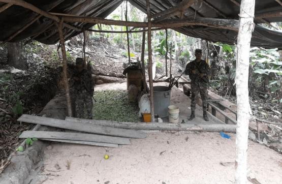 Ejército ubicó tres laboratorios
