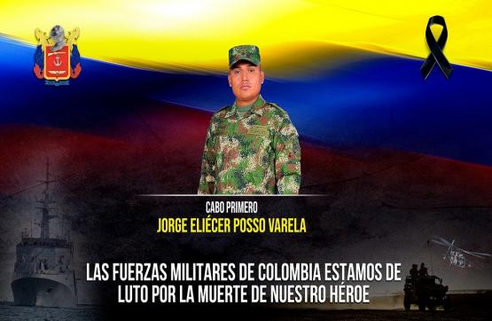 Comunicado de Prensa
