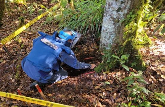 Dos minas antipersonales destruidas en labores de desminado humanitario