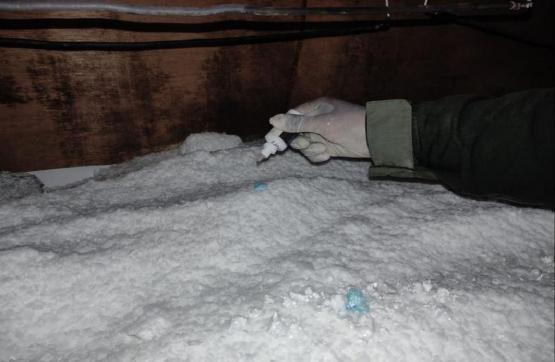 Laboratorio de clorhidrato de cocaína fue inutilizado en Putumayo