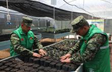 395 soldados prestan el servicio militar ambiental en la Brigada 13