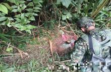 Ejército Nacional neutraliza artefacto explosivo en Convención, Norte de Santander