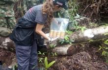 Fuerza Pública ubicó un depósito ilegal con 300 artefactos explosivos en zona rural de Buenaventura