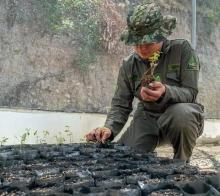 El 10 % de jóvenes que prestan servicio militar desarrollan tareas de medioambiente