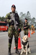 Fuerzas Militares desplegarán más de 35 mil hombres y mujeres para la seguridad durante esta Semana Santa