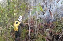 Ejército Nacional atiende incendio forestal en Carmen de Apicalá y Yumbo