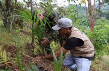 El Ejército Nacional se une para proteger la Amazonía: ¡Siembra de 1.500 árboles en Florencia!
