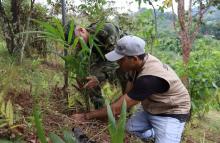 El Ejército Nacional se une para proteger la Amazonía: ¡Siembra de 1.500 árboles en Florencia!
