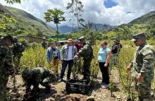 Del Cañón del Micay a su mesa