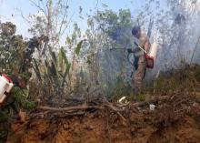 Armada de Colombia apoya organismos de socorro en el control de incendio forestal