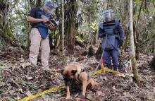 En el sur del Tolima, desminadores aplican tres técnicas para eliminar la amenaza de minas antipersonal