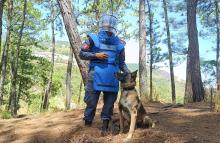 Otro territorio del oriente antioqueño está libre de sospecha de minas antipersonal