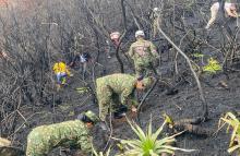 Esfuerzo conjunto por la reforestación en Boyacá de comunidades, entidades ambientales y Soldados del Ejército Nacional
