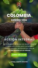 Histórica jornada de reforestación: Ejército Nacional siembra más de 33 mil árboles en un minuto