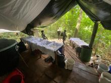 Ejército desmanteló complejo cocalero avaluado en más de 2.000 millones de pesos en Arboledas, Norte de Santander