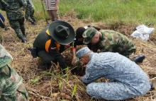 Comprometidos con el medio ambiente: más de 1.000 plántulas fueron sembradas en el Amazonas