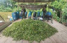 Desmantelados 18 laboratorios para el procesamiento de pasta base de coca