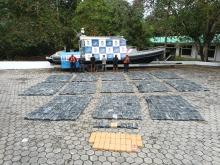 Incautados estupefacientes avaluados en más de nueve millones de dólares en el Pacífico