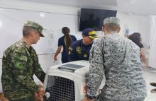 Más de 700 animales beneficiados en jornadas gratuitas de atención veterinaria