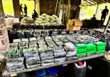 Desmantelado complejo cocalero para el procesamiento de clorhidrato de cocaína en Antioquia