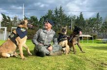 Carlos Andrés Montoya: primer etólogo militar especializado en bienestar animal