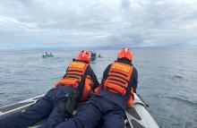 Autoridades y comunidad se unieron para salvaguardar la vida de una ballena en peligro