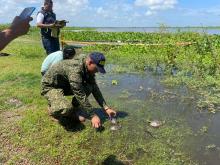 Marinos de Colombia, guardianes de la flora y la fauna en el Caribe colombiano