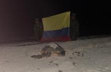 Armada de Colombia apuesta a la protección de especies marinas en la región insular