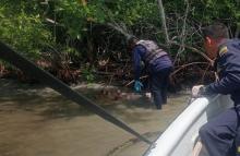 Armada de Colombia recuperó en el mar cuerpo sin vida de una mujer