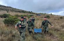 En el Páramo de Santurbán, el Ejército Nacional y la comunidad sembraron 400 frailejones