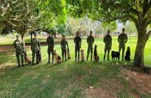 Ocho caninos realizan reentrenamiento antes de afrontar los desafíos en el área de operaciones