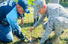 Jornada de reforestación en La Dorada, Caldas