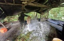 Redada contra el narcotráfico: Fuerzas Militares neutralizan cuatro laboratorios donde se producían más de seis toneladas de droga