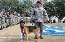 Despedida con honores a 'Lola': canino militar culmina su servicio a la nación