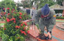 Con reforestación de espacio público comunidad de Malambo es beneficiada