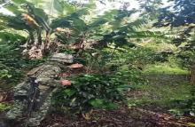 Ejército Nacional neutraliza artefactos explosivos a menos de 200 metros de la vía Panamericana en Nariño