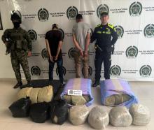 Ejército incauta 82 kilos de marihuana en el occidente del Huila