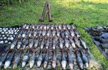 Tropas del Ejército Nacional neutralizaron arsenal de explosivos que pertenecería al grupo ilegal Comandos de Frontera en Putumayo