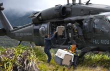 En un helicóptero UH-60 dos animales silvestres regresan a su hábitat natural