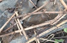 Destruido artefacto explosivo en Chocó que sería instalado por integrantes del GAO ‘Clan del Golfo’