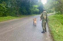 Ejército Nacional actúa con precisión: desactiva artefacto explosivo en Miranda, Cauca