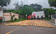 Incautados 730 kilos de marihuana durante Plan Candado
