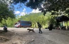 El Grupo Marte del Ejército Nacional con el canino ‘Basco’ hallan cilindro con explosivos en el sur del Tolima