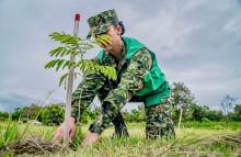 Las Fuerzas Militares de Colombia: protectores de la vida y los recursos naturales