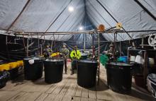 Desmantelan laboratorio para el proce