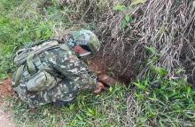 Ejército Nacional neutraliza artefacto explosivo cerca de una finca en Támara, Casanare