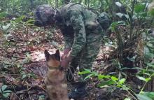 Ejército Nacional neutraliza artefacto explosivo en el departamento del Vaupés